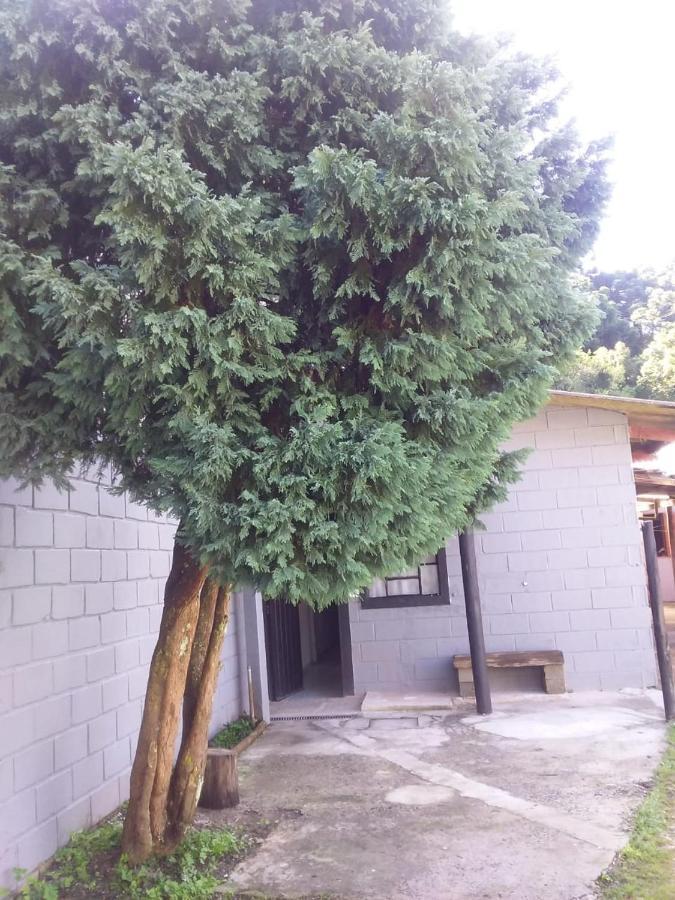 Kitnet Recanto De Campos-Pertinho Do Centro Campos do Jordão Exterior foto