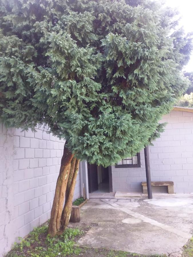 Kitnet Recanto De Campos-Pertinho Do Centro Campos do Jordão Exterior foto